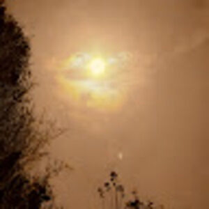 Meet your Posher, Oliver